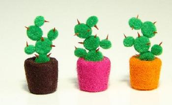 cactus02.JPG